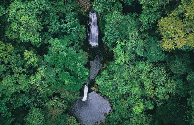 Corinto Pearl Eco Resort - Photo 19