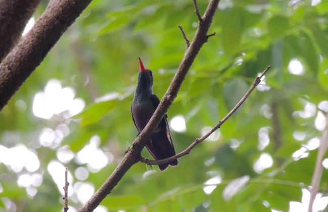 Corinto Pearl Eco Resort - Photo 17