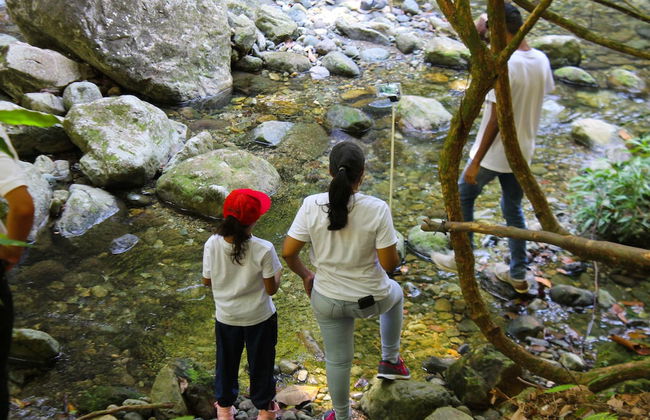 Corinto Pearl Eco Resort - Photo 22