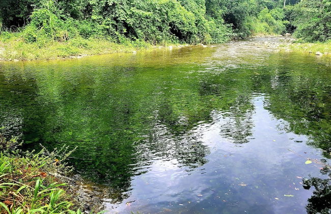 Corinto Pearl Eco Resort - Photo 23