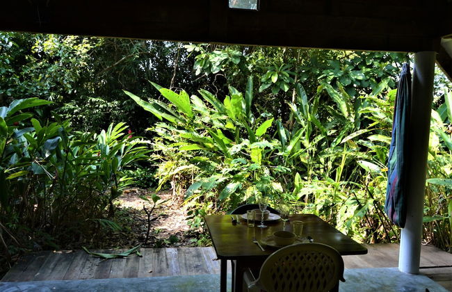 Jungle Like Oasis in San Ignacio - Secluded Cabaña Retreat Close To Mayan Ruins - Photo 17