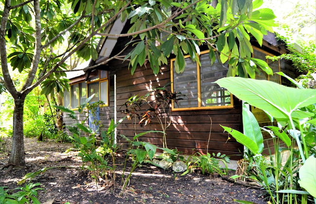 Jungle Like Oasis in San Ignacio - Secluded Cabaña Retreat Close To Mayan Ruins - Photo 16