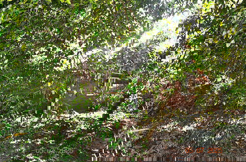 Photo 16 - Jungle Like Oasis in San Ignacio - Secluded Cabaña Retreat Close To Mayan Ruins