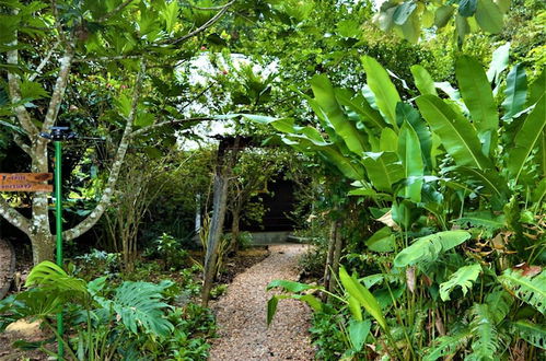 Photo 14 - Your Unique Vacation Cabana in The Tropical Acre - Perfect Base For Exploring