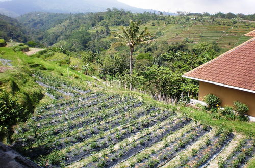 Photo 36 - Shangrilah Villas