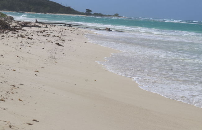Beach Palm Villa - Foto 51