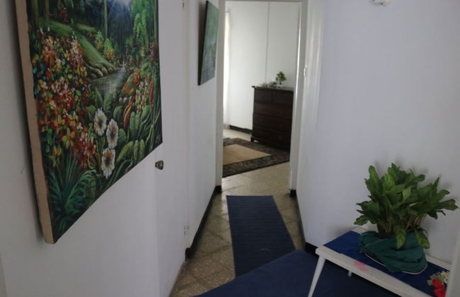 Beach Palm Villa - Foto 48