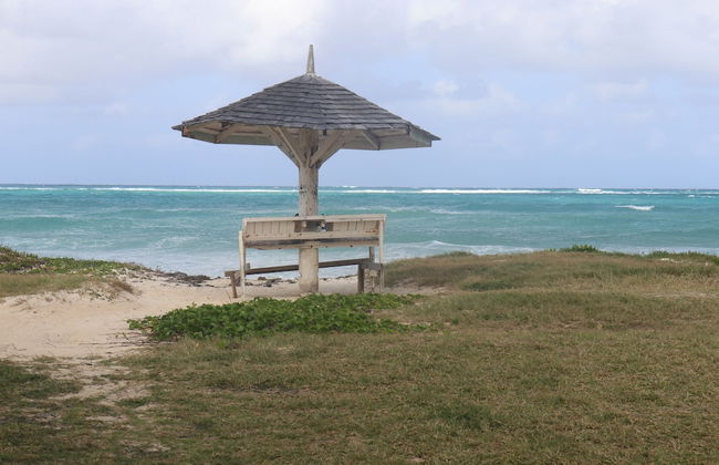 Beach Palm Villa - Foto 52