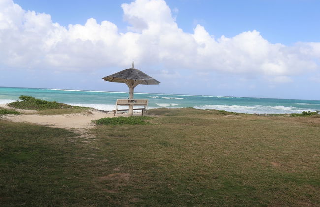 Beach Palm Villa - Foto 56