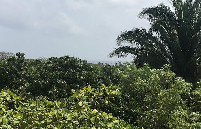 Island Charm Apartments - Photo 7