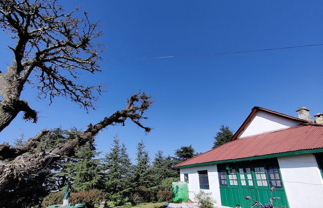 Pre Independence 2 BHK Bungalow,dalhousie,himachal - Foto 8