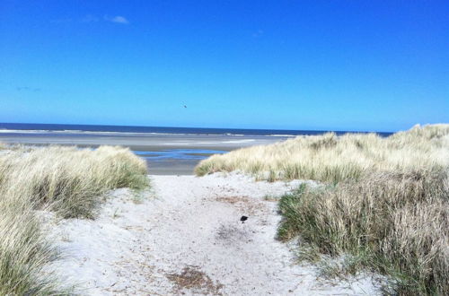 Photo 22 - Detached Bungalow, Situated Directly at a Large Sand Dunes and Nature Area