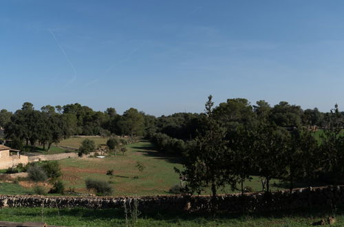 Foto 50 - Agroturismo Ses Illes