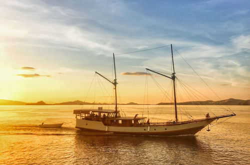 Photo 14 - Samara II Liveaboard