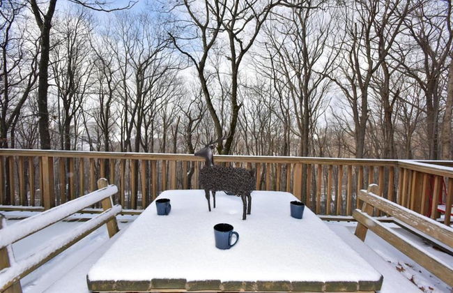 Seven Springs Resort Properties - Foto 1