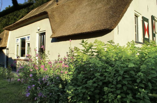 Photo 39 - Peaceful Farmhouse in Doorn near Forest