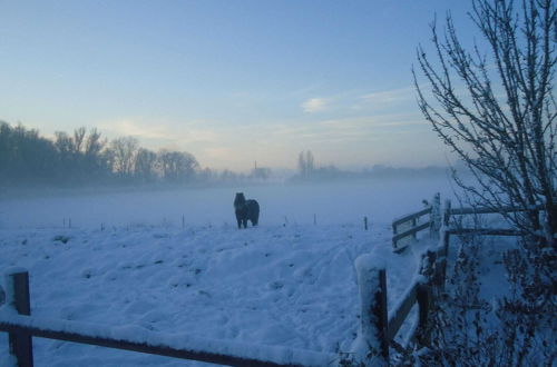 Photo 18 - Cosy Holiday Home Overlooking the Meadows