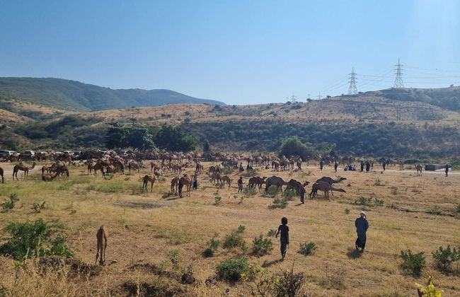 Gateway Salalah - Foto 26