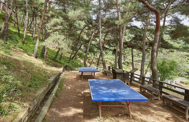 Club ES Jecheon Resort - Foto 28