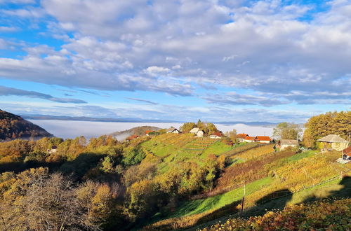 Photo 33 - Vineyard cottage Soncni gric