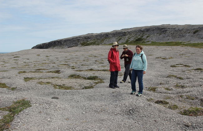 Burnt Cape Cabins - Photo 33