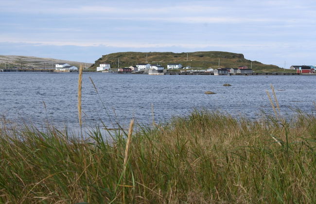 Burnt Cape Cabins - Photo 45