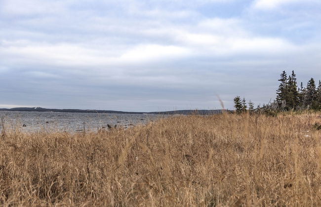 Burnt Cape Cabins - Photo 48