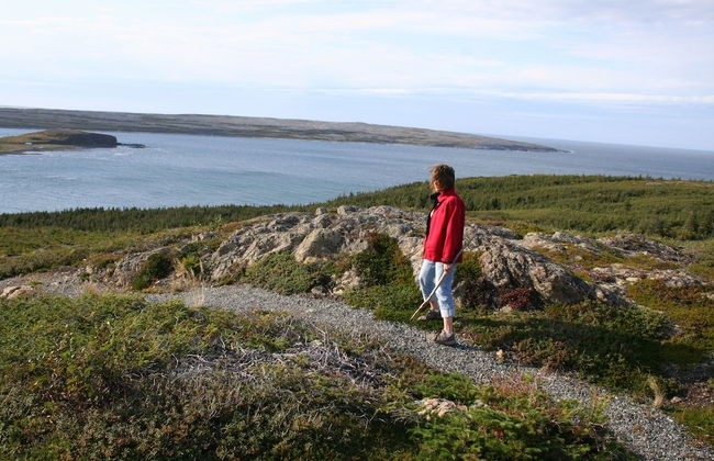 Burnt Cape Cabins - Photo 31