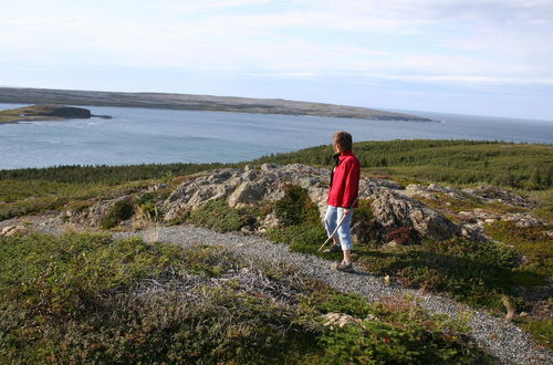 Photo 31 - Burnt Cape Cabins