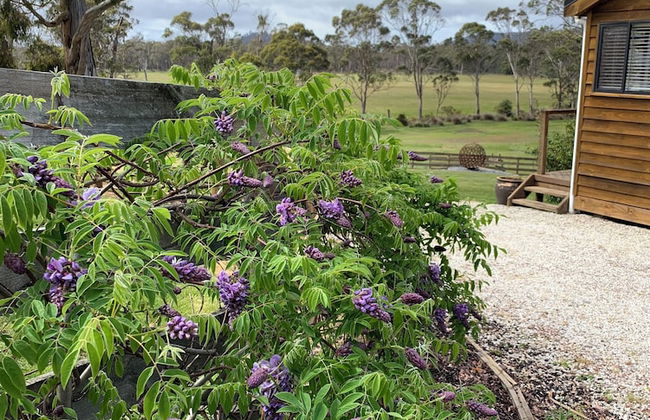 Hazelcreek Cottages - Foto 18