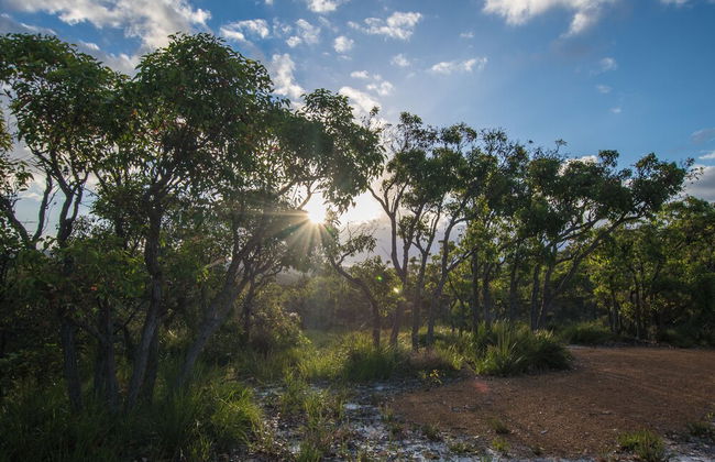 Cape Howe Cottages - Foto 58