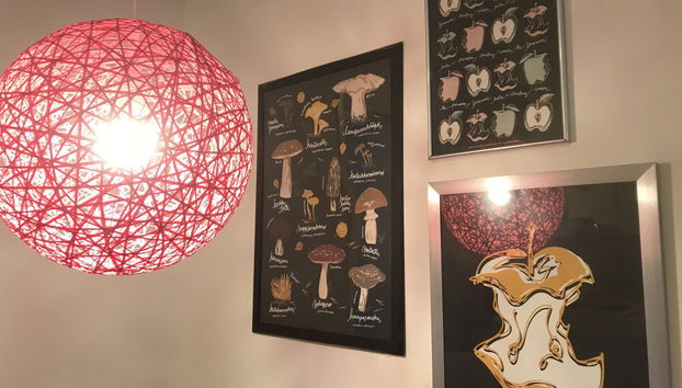 Quarto