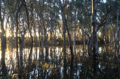 Foto 73 - Tasman Holiday Parks - Moama on the Murray