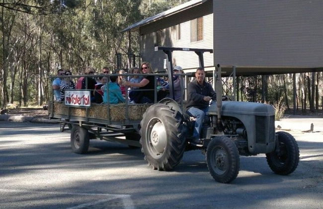 Tasman Holiday Parks - Moama on the Murray - Foto 79