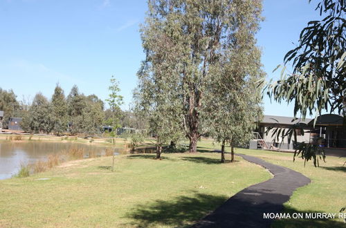 Foto 78 - Tasman Holiday Parks - Moama on the Murray