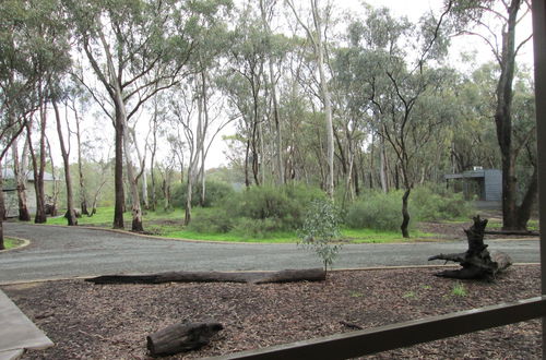 Photo 43 - Tasman Holiday Parks - Moama on the Murray