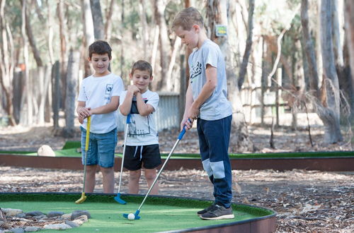 Photo 60 - Tasman Holiday Parks - Moama on the Murray