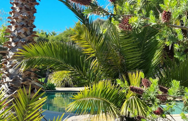 Island Cove Villas - Foto 43
