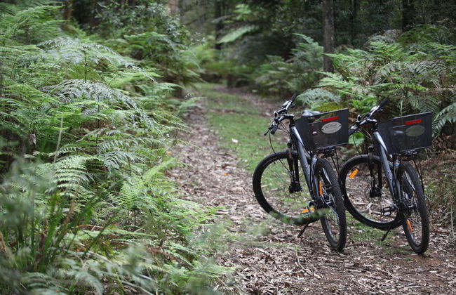 Woodlands Rainforest Retreat - Foto 20