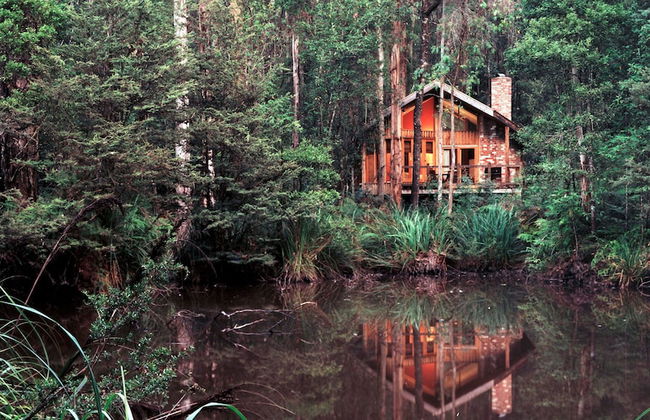 Woodlands Rainforest Retreat - Foto 1