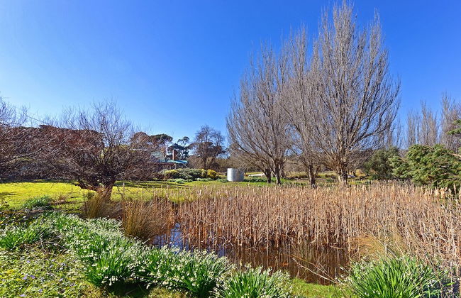 Ventnor Guest House - Foto 10