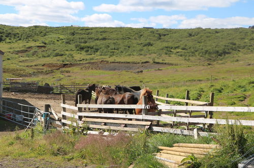 Photo 52 - Uthlid Cottages