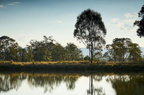 Photo 35 - Wandin Valley Estate