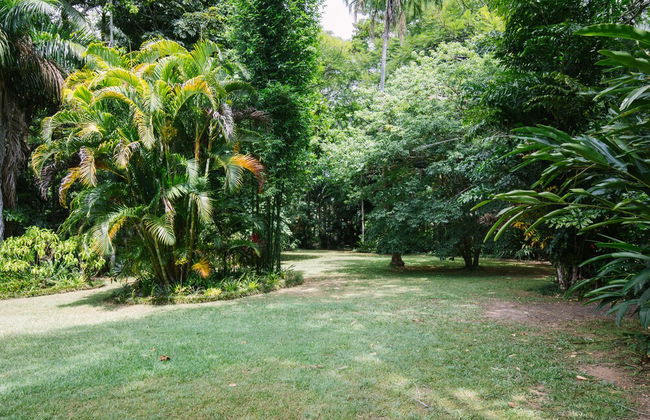 Sanctuary in The Pocket - Photo 64