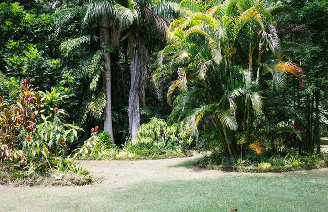 Sanctuary in The Pocket - Photo 66