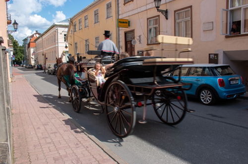 Photo 29 - Bohemian flat Old town Tartu Home Apt.