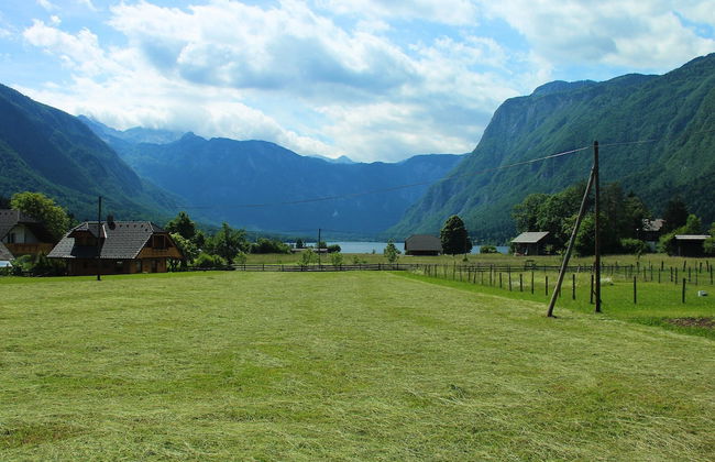 Serene Apartment in Bohinjsko Jezero near Ski Lift - Foto 29