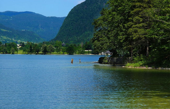 Serene Apartment in Bohinjsko Jezero near Ski Lift - Foto 37