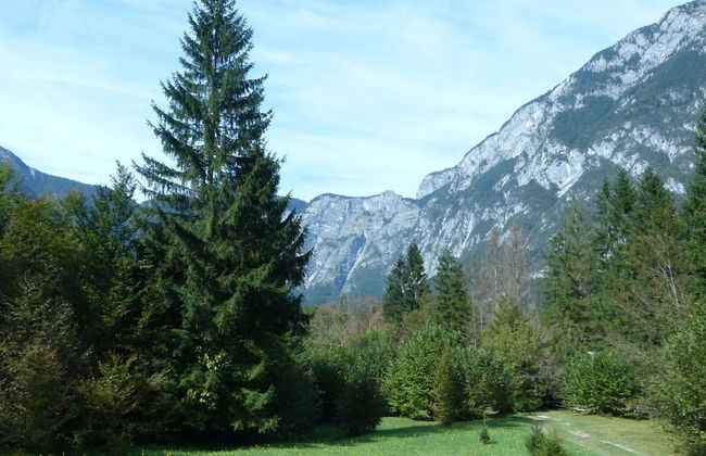 Serene Apartment in Bohinjsko Jezero near Ski Lift - Foto 8