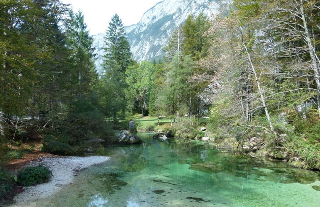 Serene Apartment in Bohinjsko Jezero near Ski Lift - Foto 16